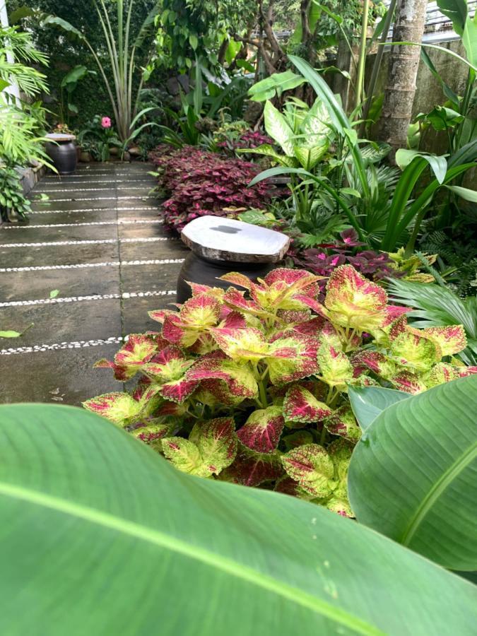 Hoi An Sunny Garden Daire Dış mekan fotoğraf