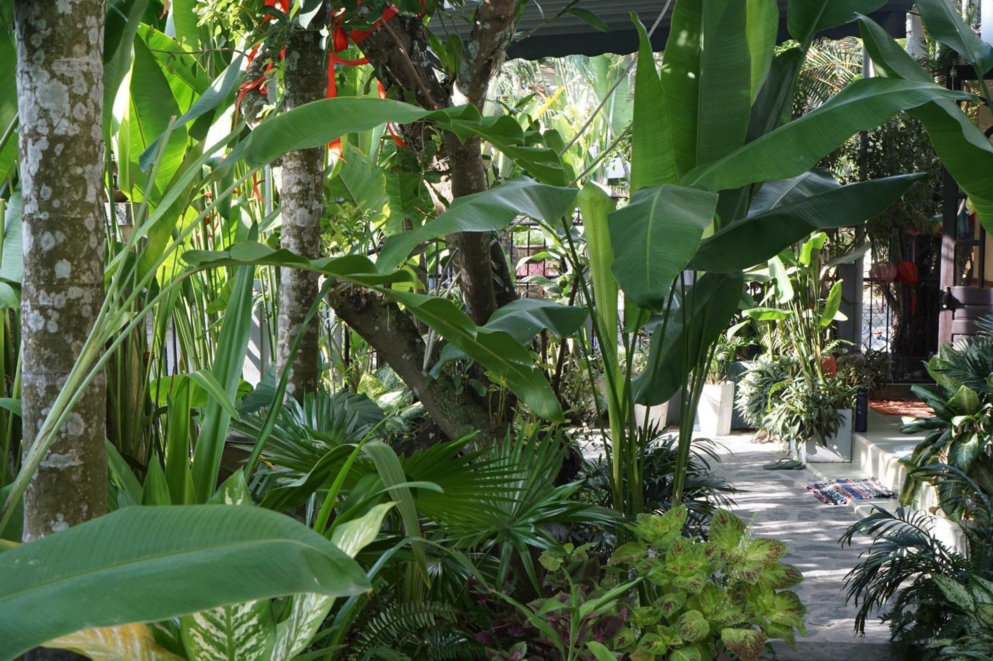 Hoi An Sunny Garden Daire Dış mekan fotoğraf