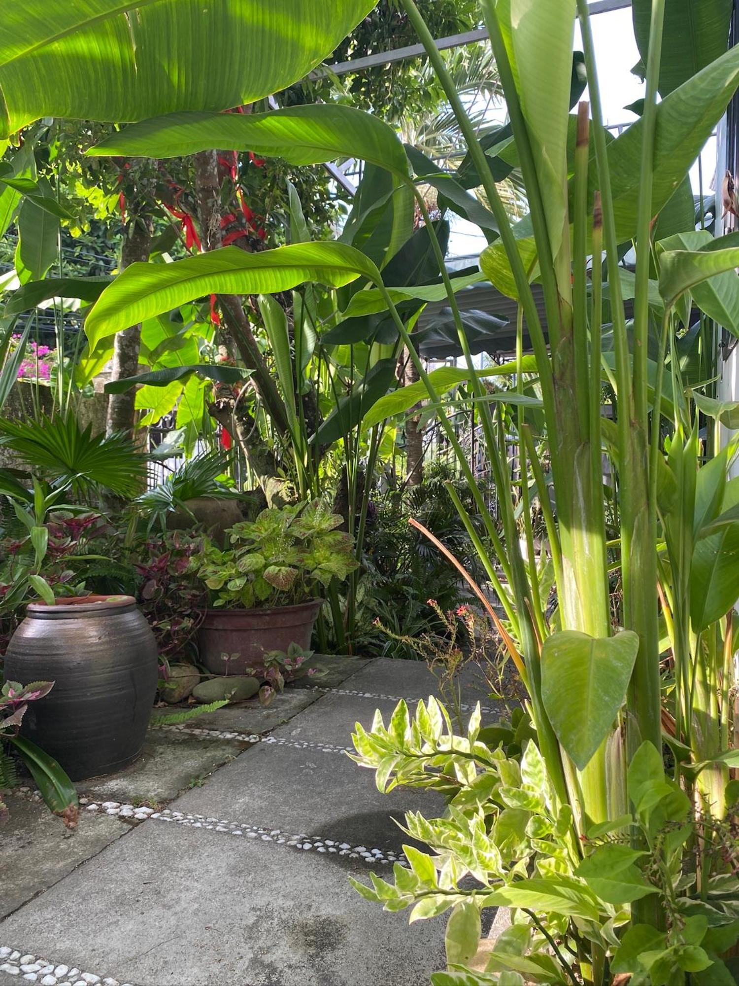 Hoi An Sunny Garden Daire Dış mekan fotoğraf
